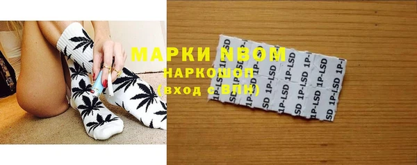 прущие грибы Баксан