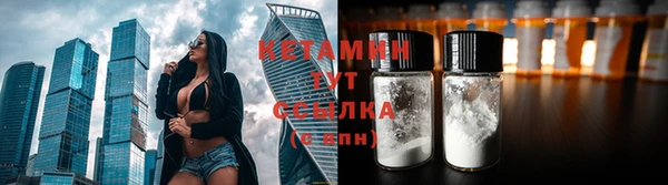 прущие грибы Баксан