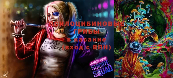 хмурый Балабаново