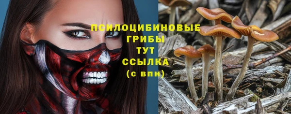 прущие грибы Баксан