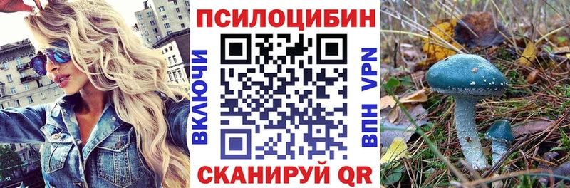 сколько стоит  Новотитаровская  ОМГ ОМГ   Псилоцибиновые грибы GOLDEN TEACHER 