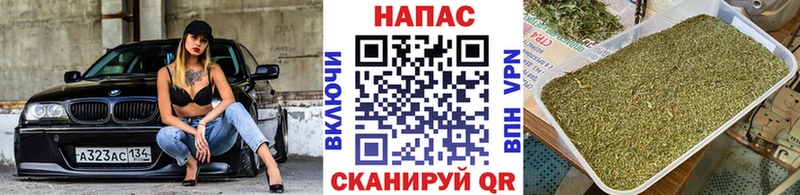 Шишки марихуана Bruce Banner  Новотитаровская 